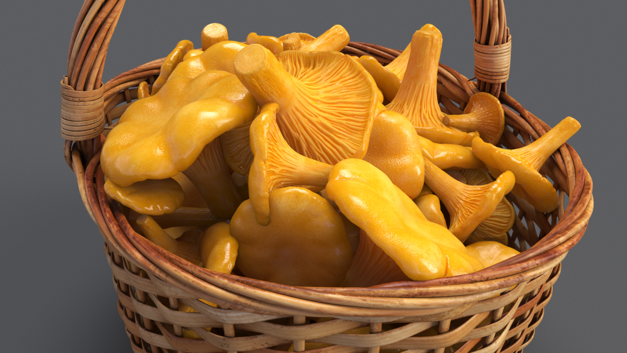 Chanterelle Mushroom Basket 3D