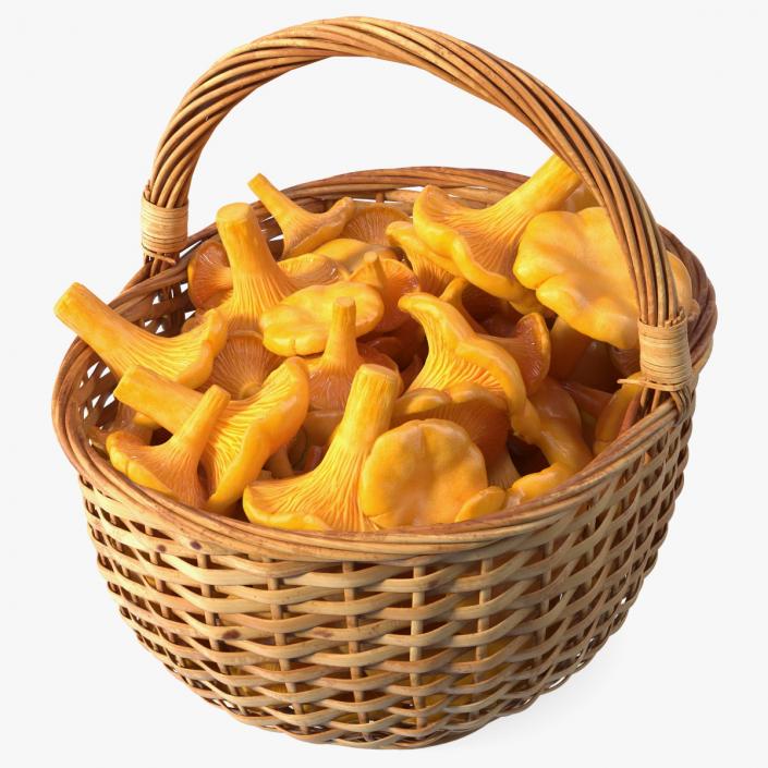 Chanterelle Mushroom Basket 3D