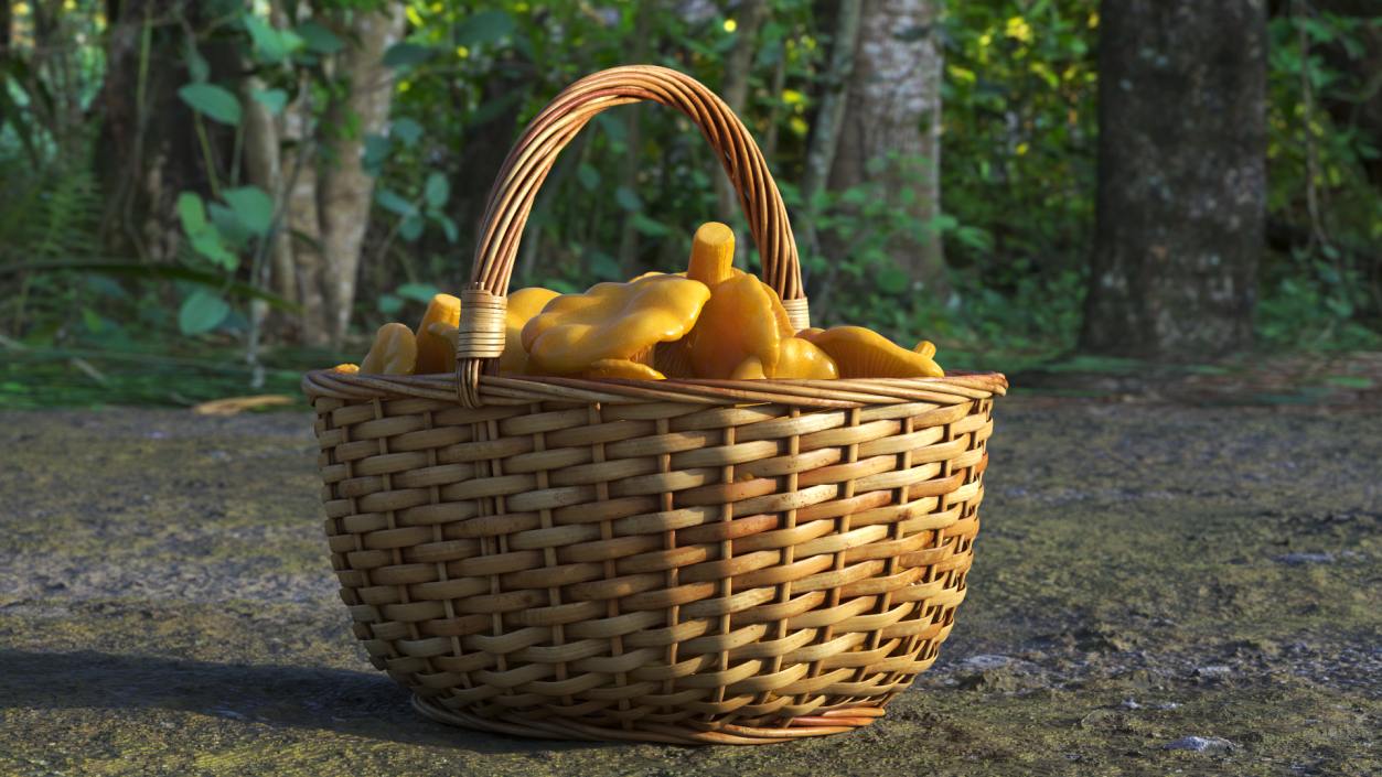 Chanterelle Mushroom Basket 3D