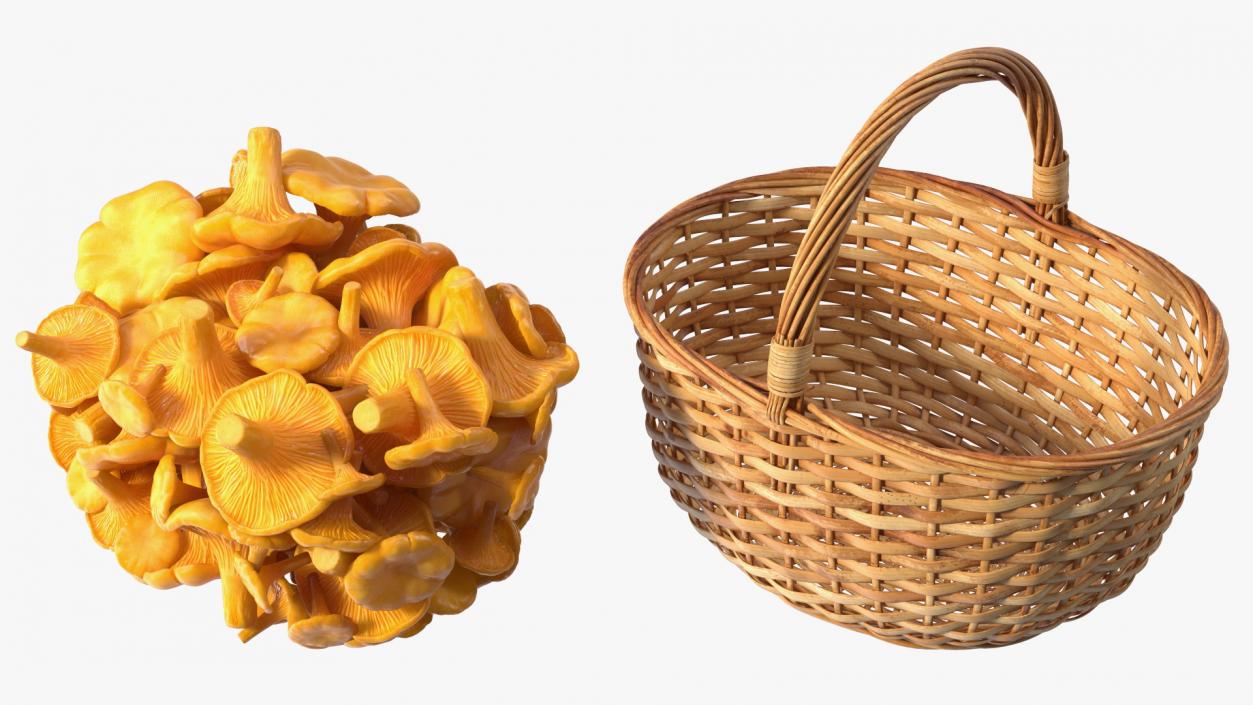 Chanterelle Mushroom Basket 3D