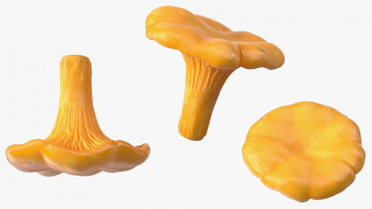 Chanterelle Mushroom Basket 3D