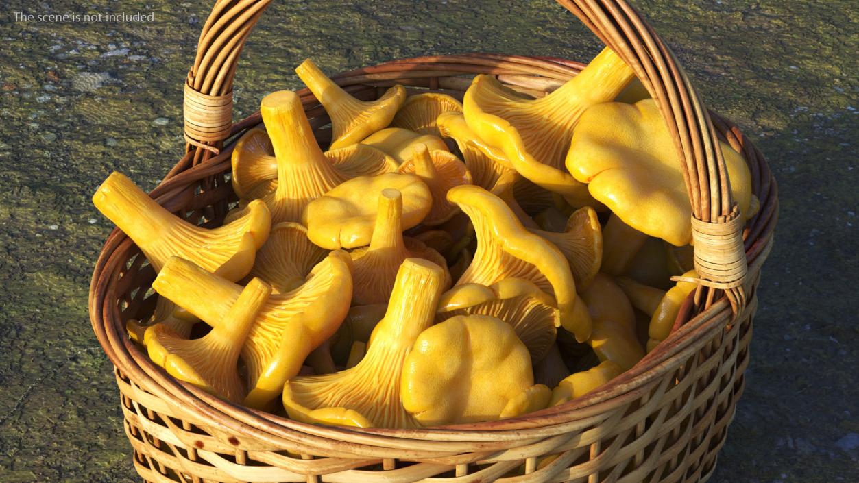 Chanterelle Mushroom Basket 3D