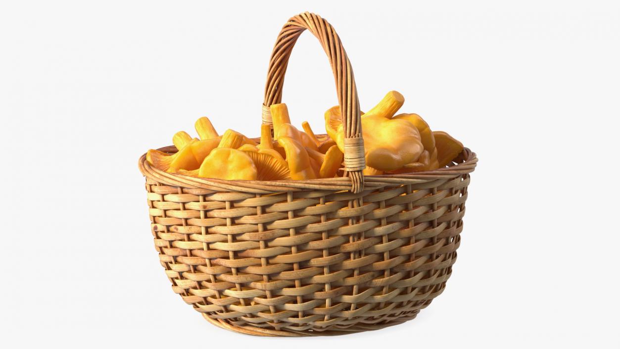 Chanterelle Mushroom Basket 3D