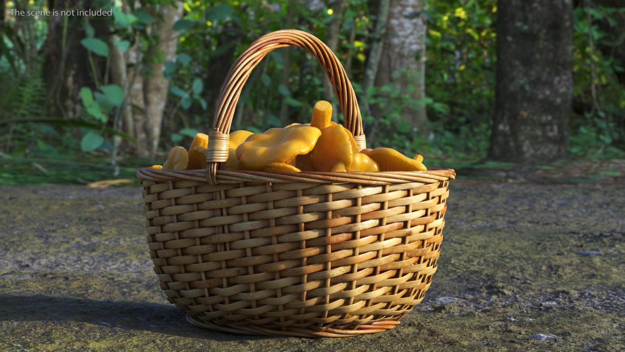 Chanterelle Mushroom Basket 3D