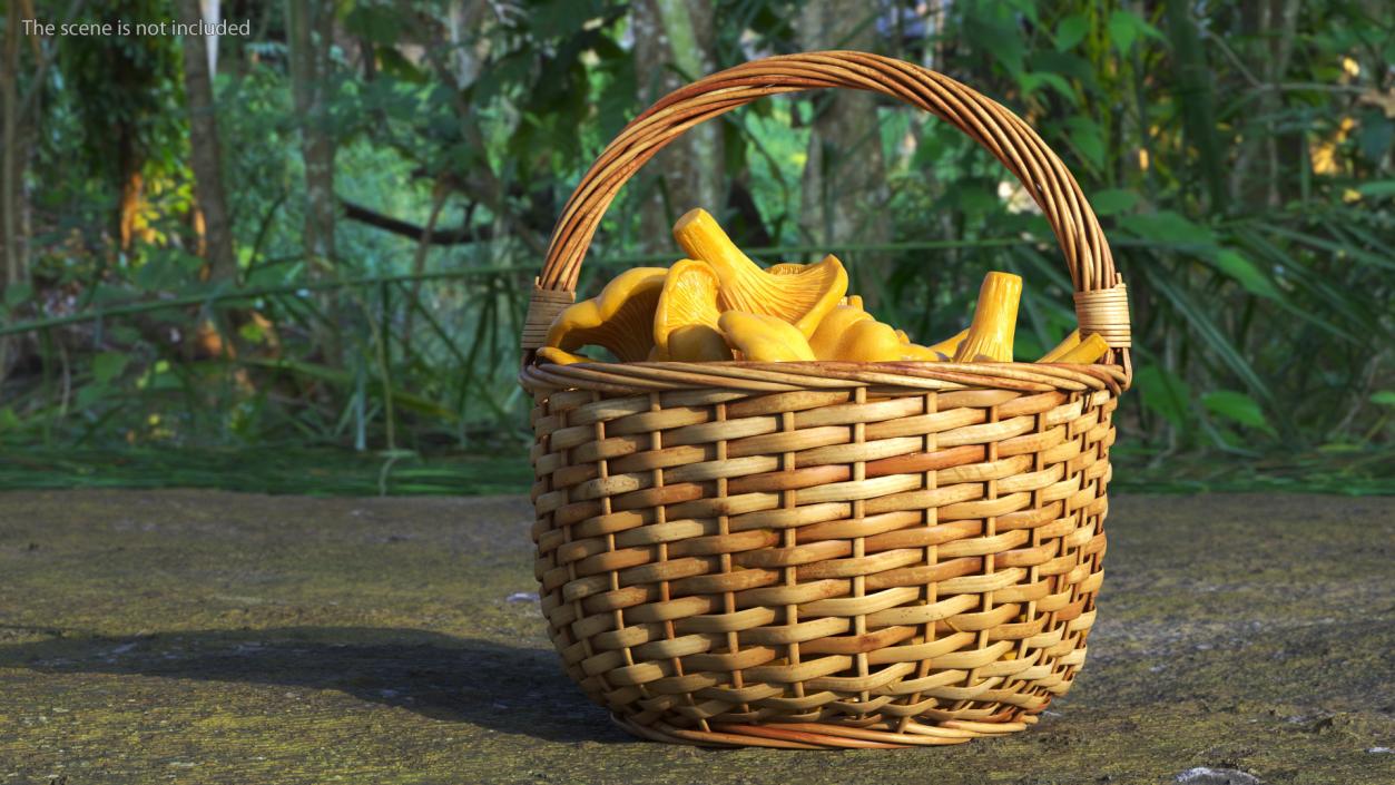 Chanterelle Mushroom Basket 3D