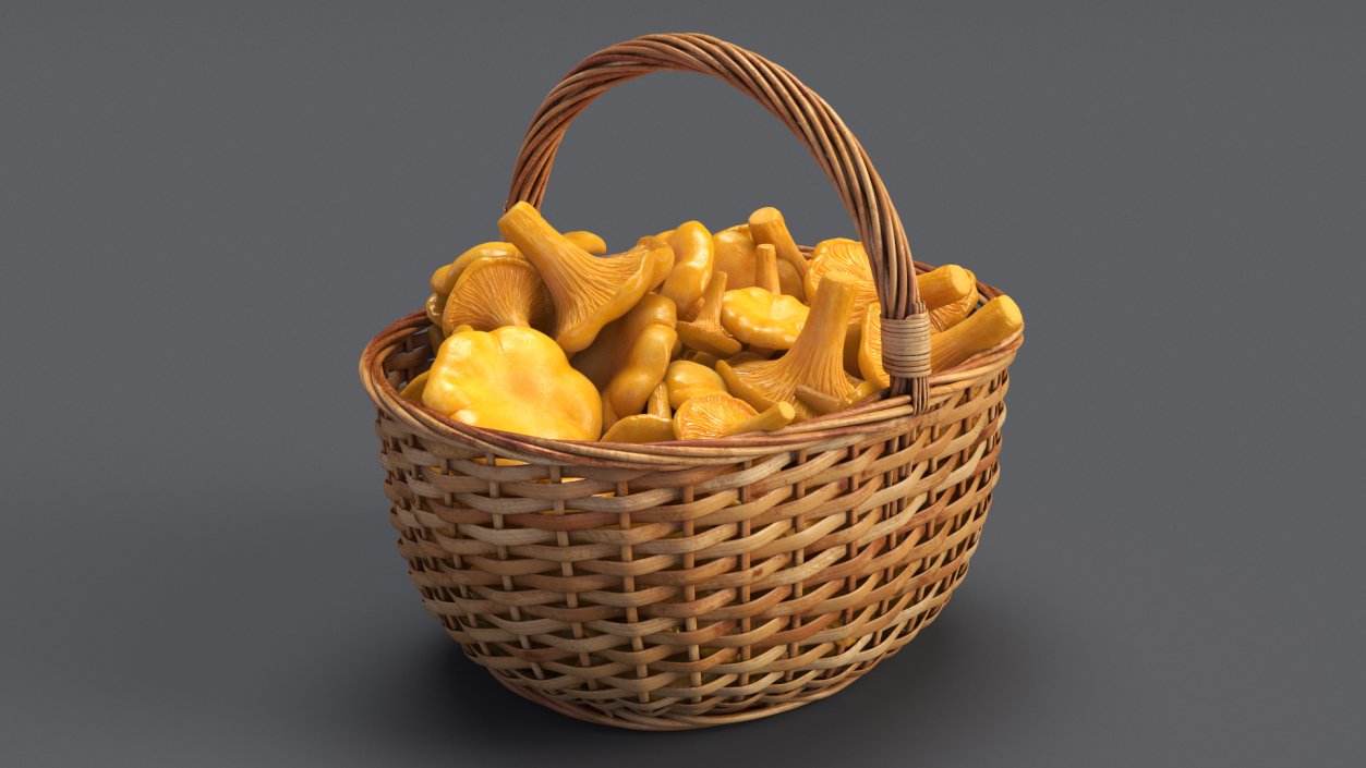 Chanterelle Mushroom Basket 3D