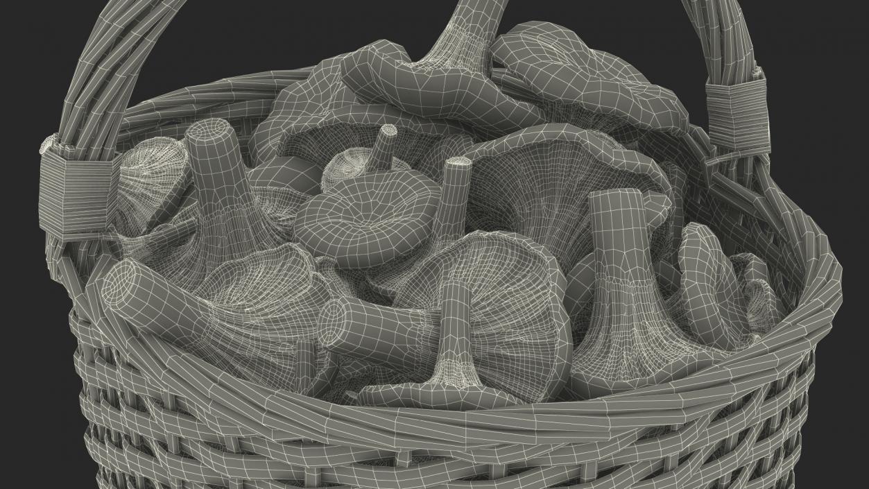 Chanterelle Mushroom Basket 3D