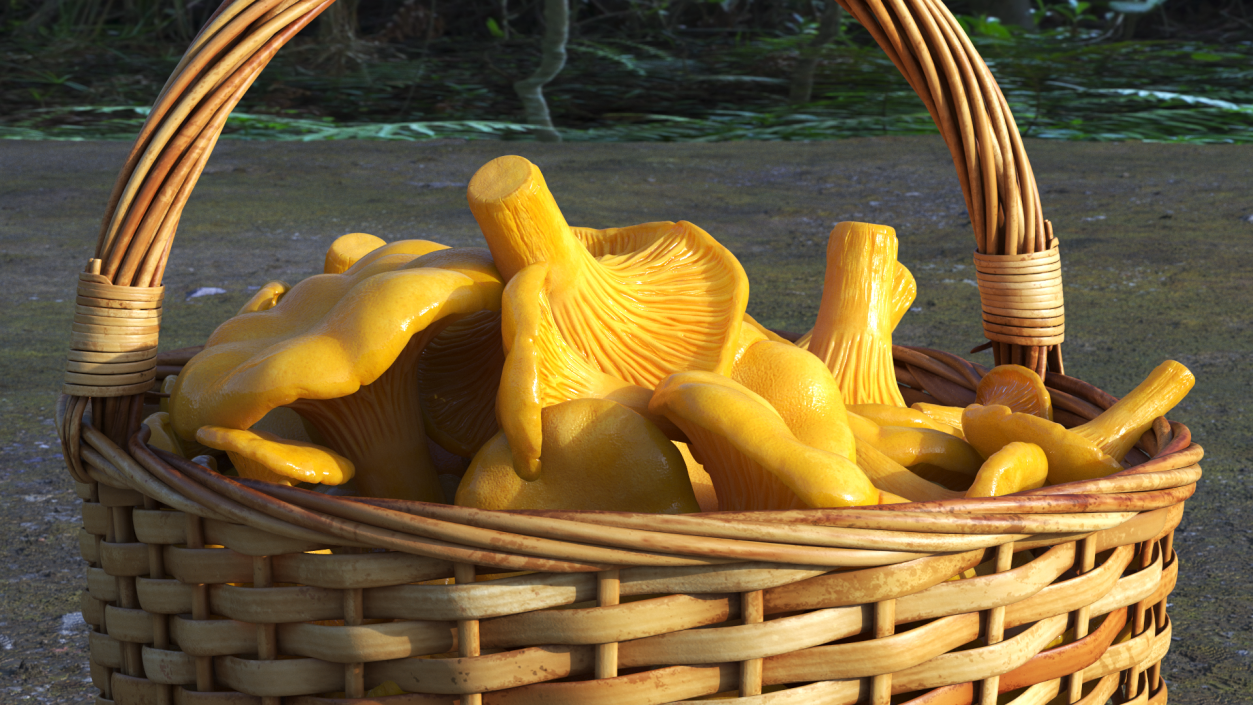 Chanterelle Mushroom Basket 3D