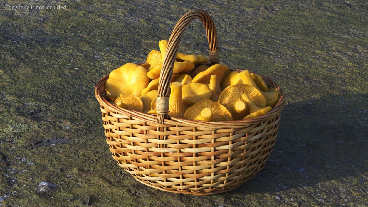 Chanterelle Mushroom Basket 3D