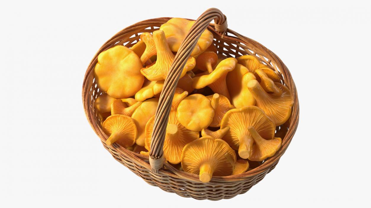 Chanterelle Mushroom Basket 3D