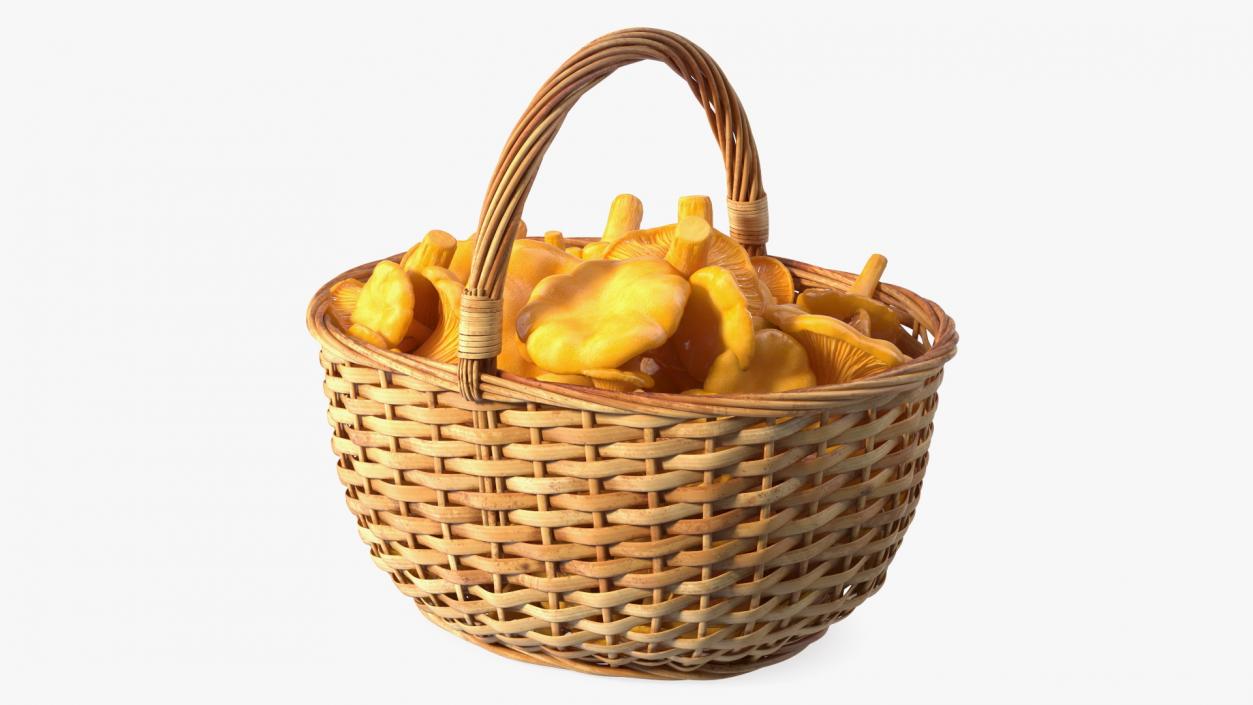 Chanterelle Mushroom Basket 3D