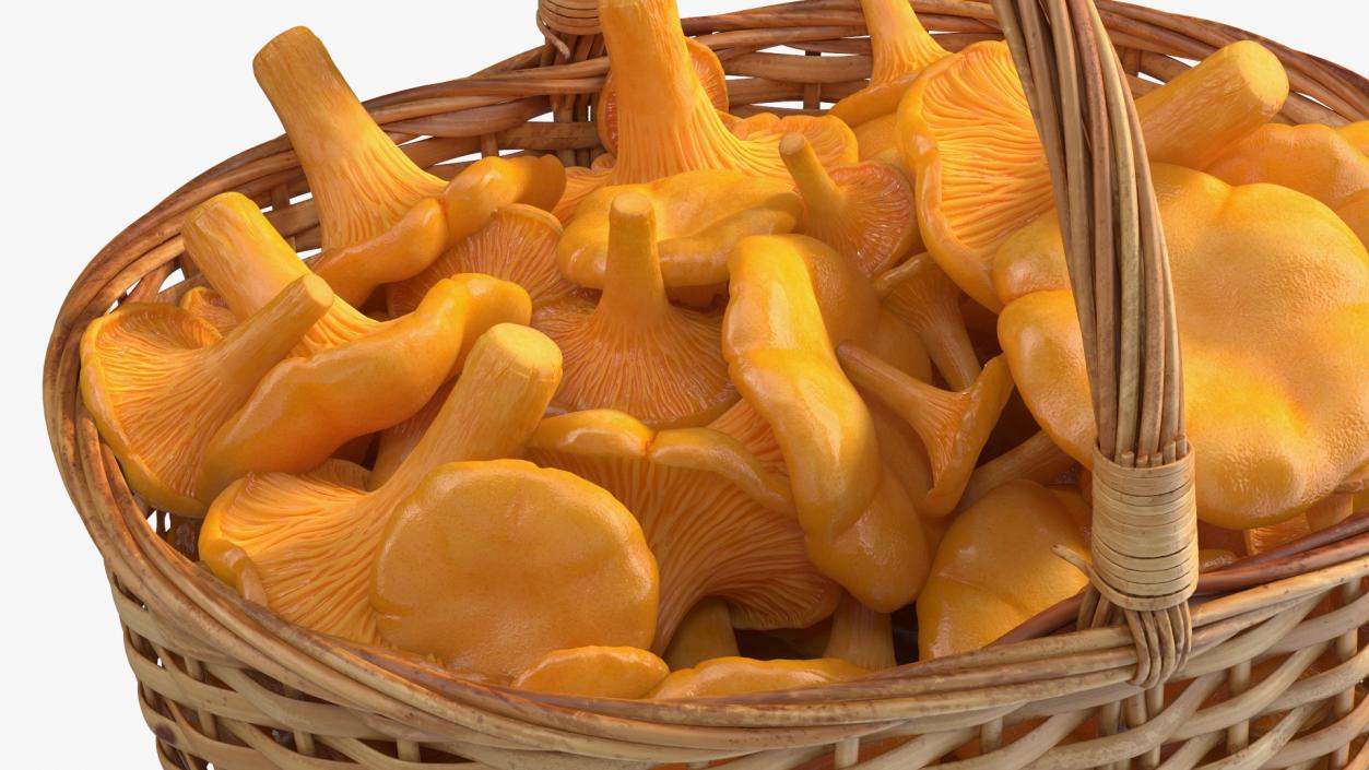 Chanterelle Mushroom Basket 3D