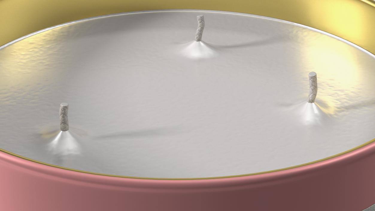 Scented Candle Pink with 3 Wicks 3D