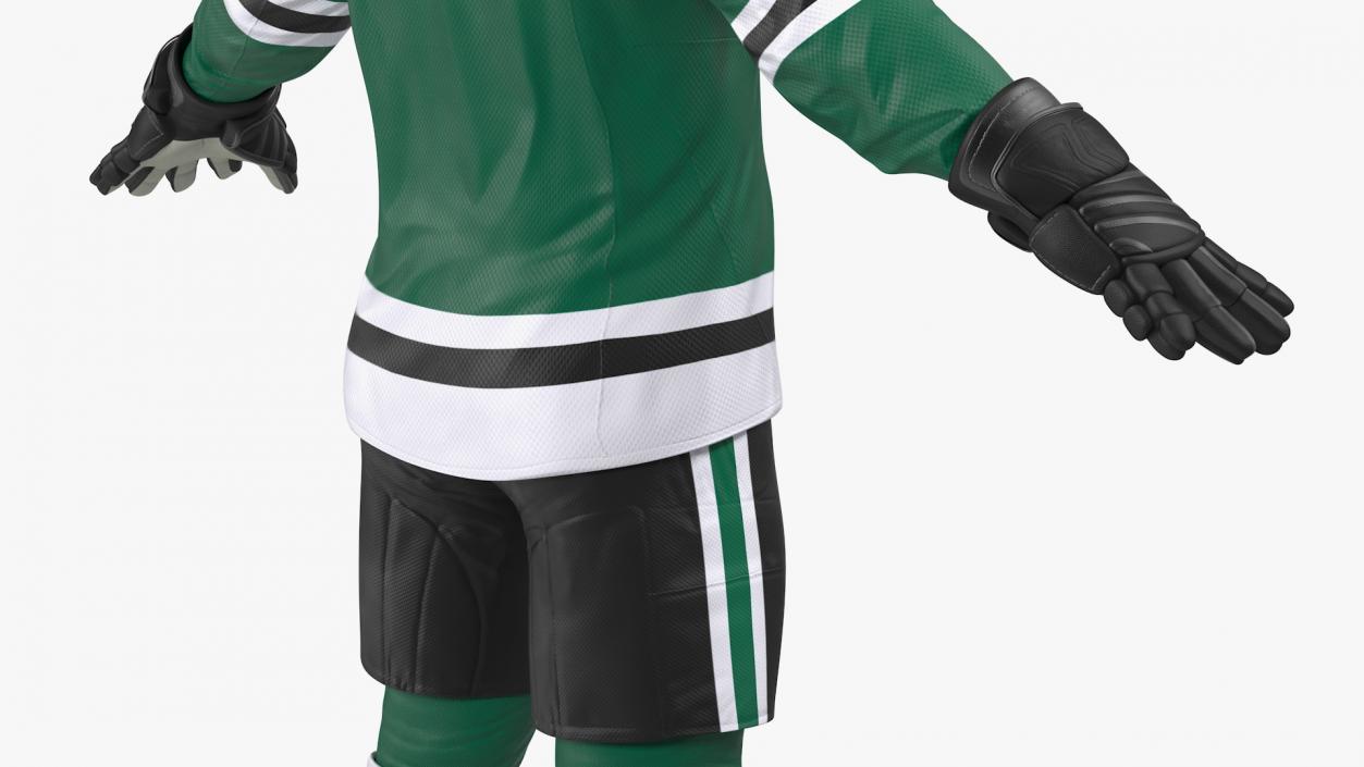 Hockey Equipment Green 3D