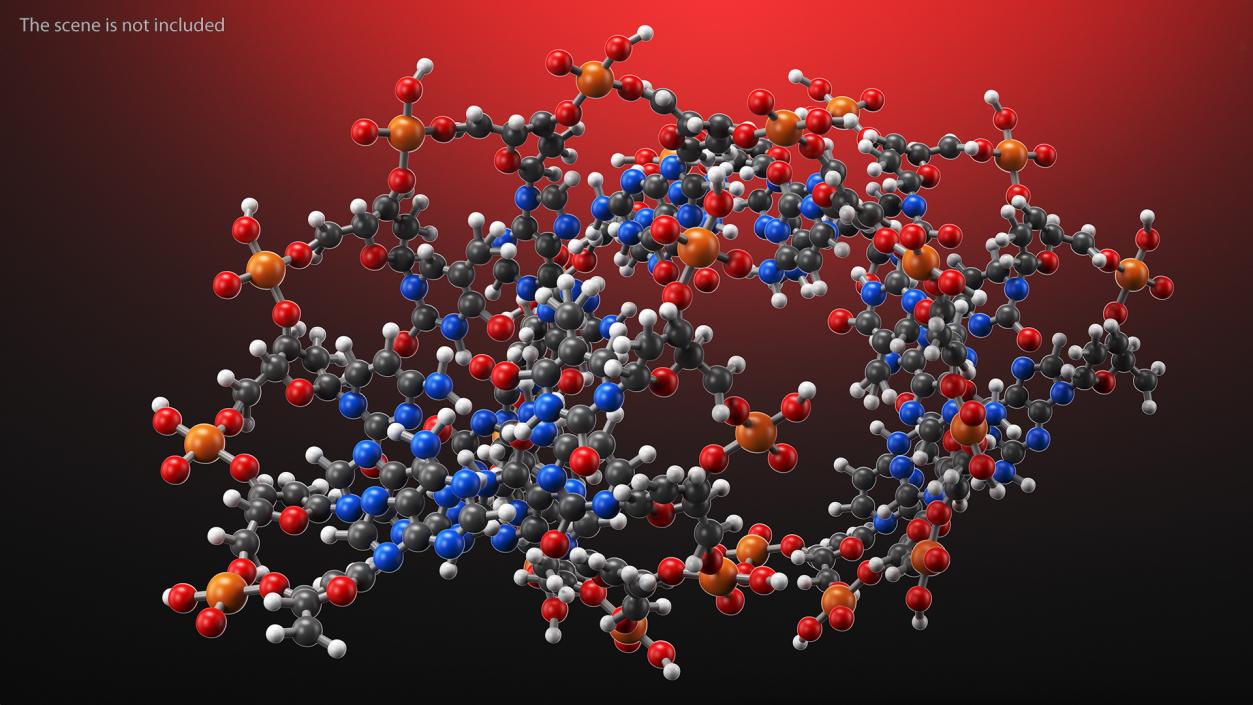 3D model DNA Structures Collection