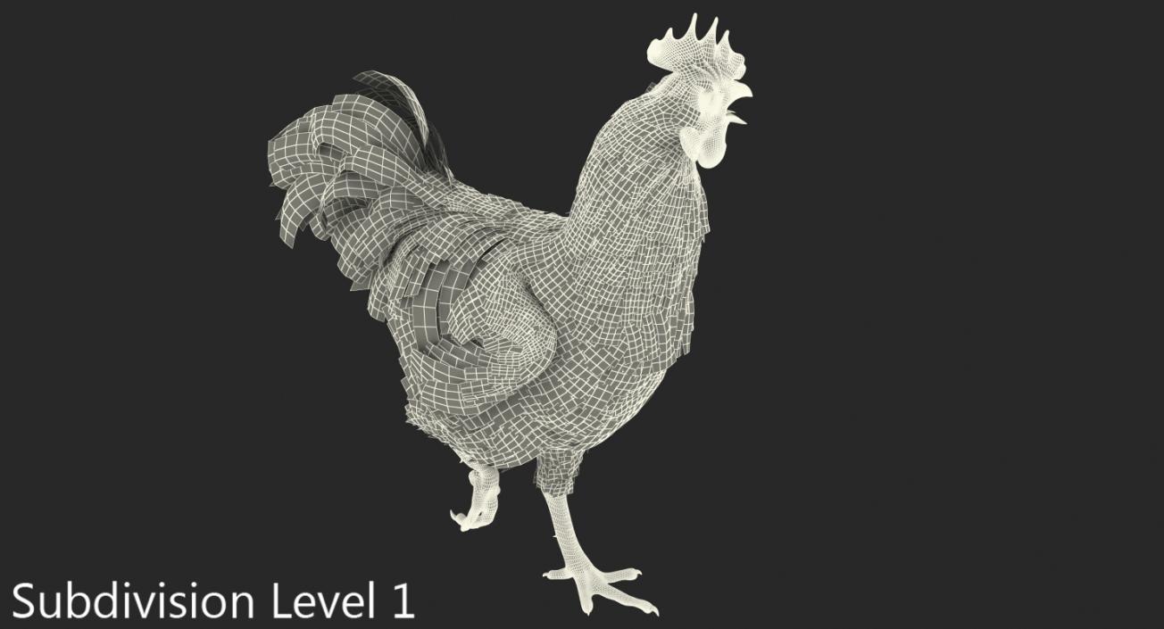 Brown Hen Standing on one Leg 3D model