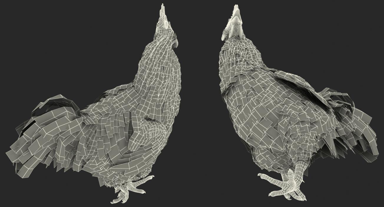 Brown Hen Standing on one Leg 3D model