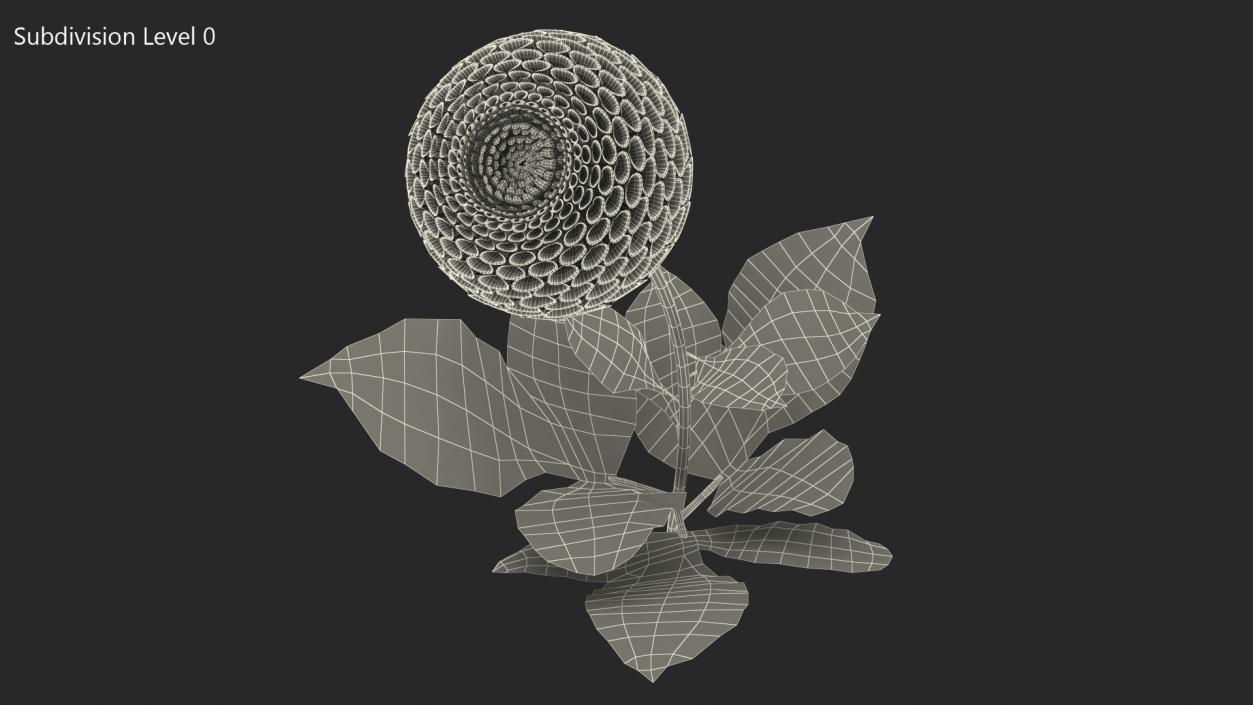 3D model Dahlia Franz Kafka Pompon