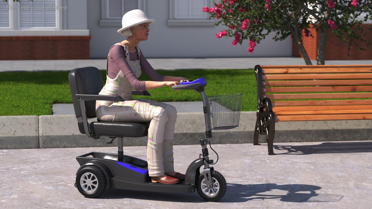 3D Elderly Woman on Electric Wheelchair