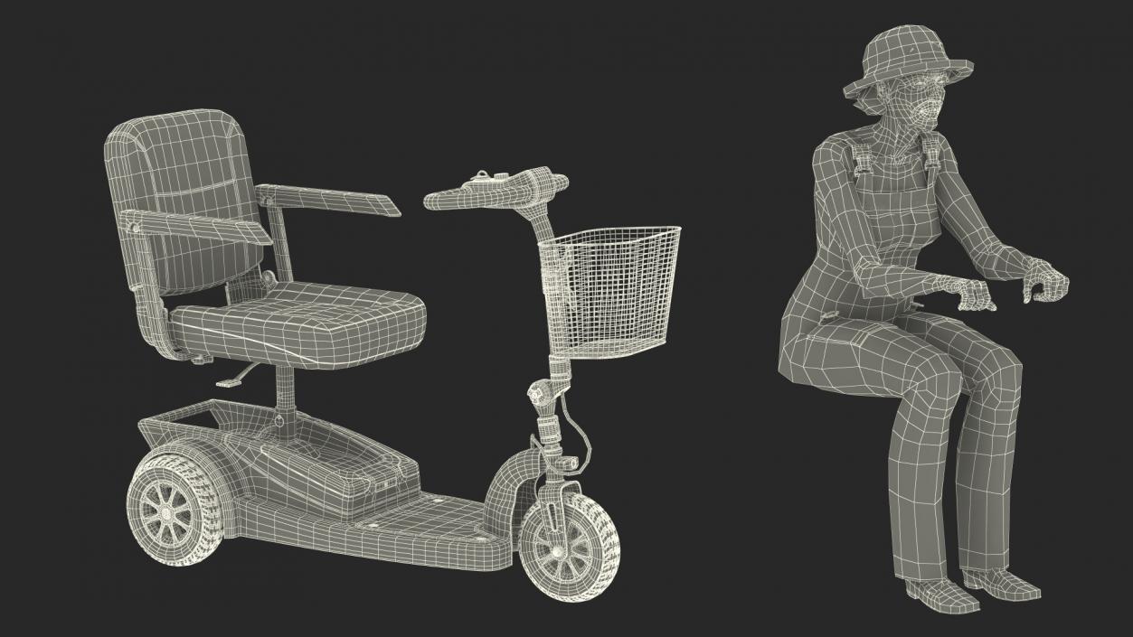 3D Elderly Woman on Electric Wheelchair