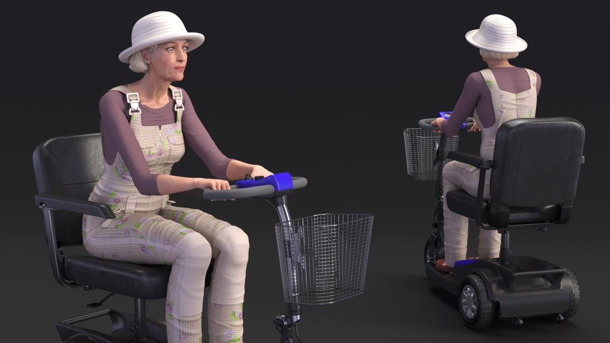 3D Elderly Woman on Electric Wheelchair