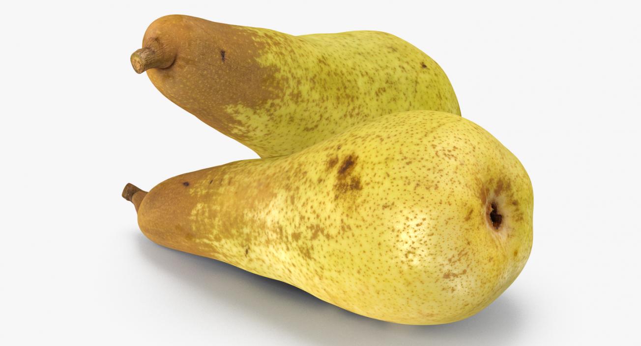 3D Long Yellow Pear