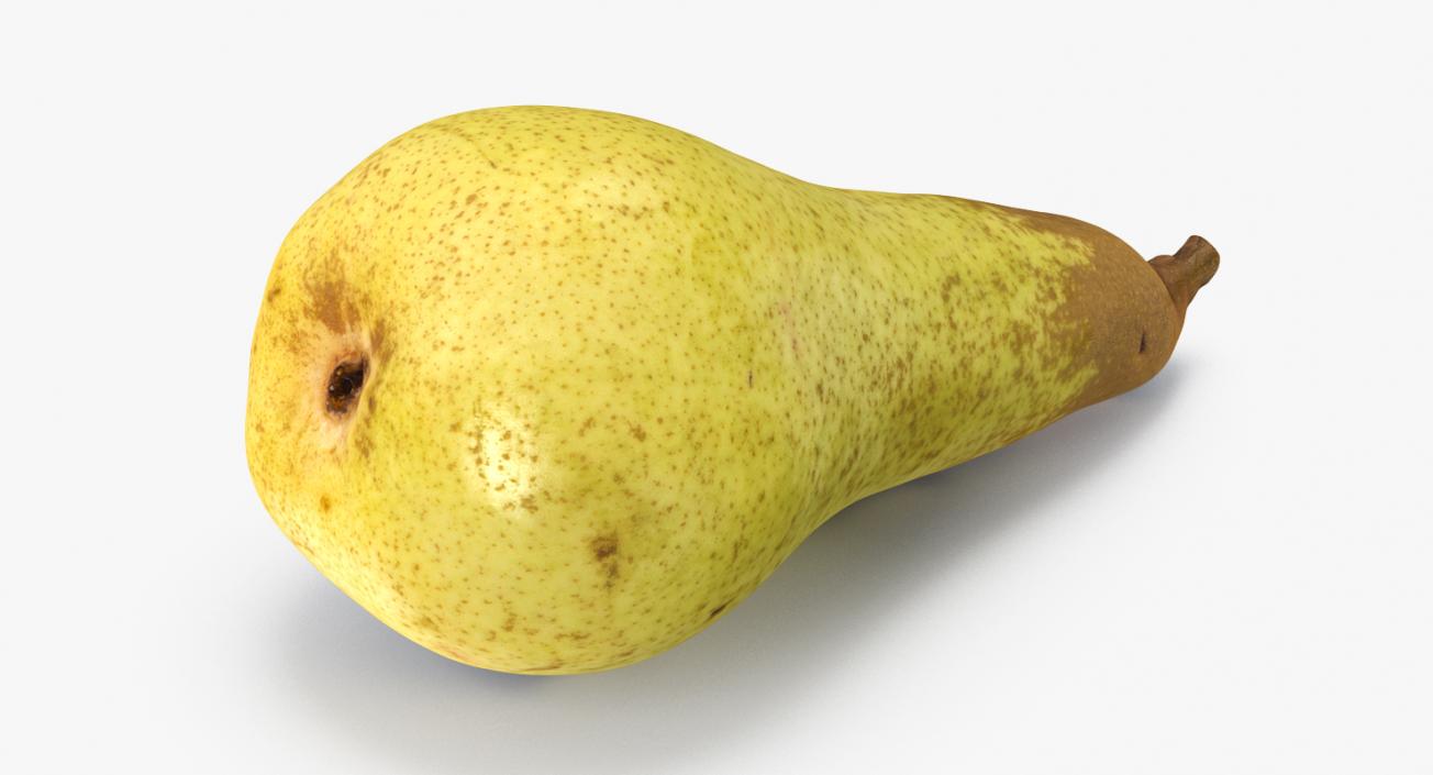 3D Long Yellow Pear