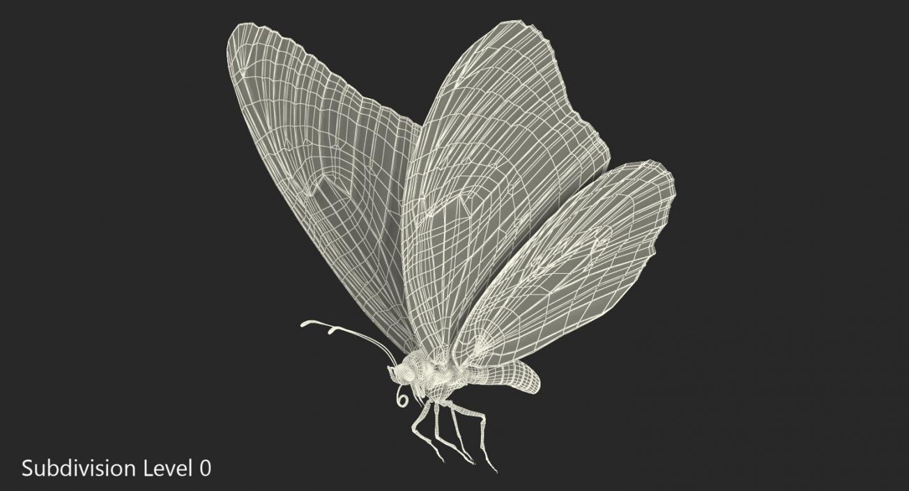 3D model Milkweed Butterfly Flying Pose