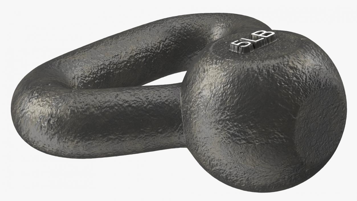 3D Fitness Solid Cast Metal Kettlebell Weight 5lb