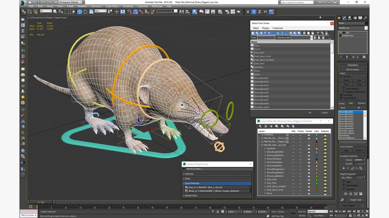 Mole-like Mammal Shrew Rigged 3D model