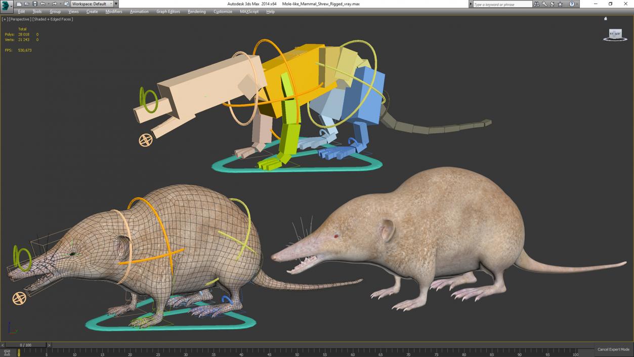 Mole-like Mammal Shrew Rigged 3D model