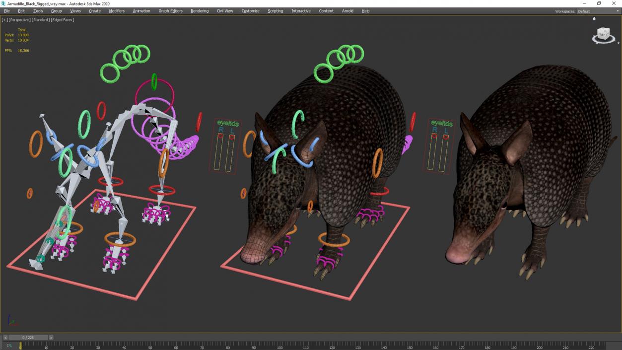 3D Armadillo Black Rigged for Maya 2 model