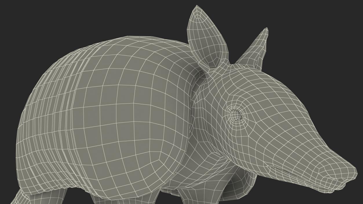 3D Armadillo Black Rigged for Maya 2 model