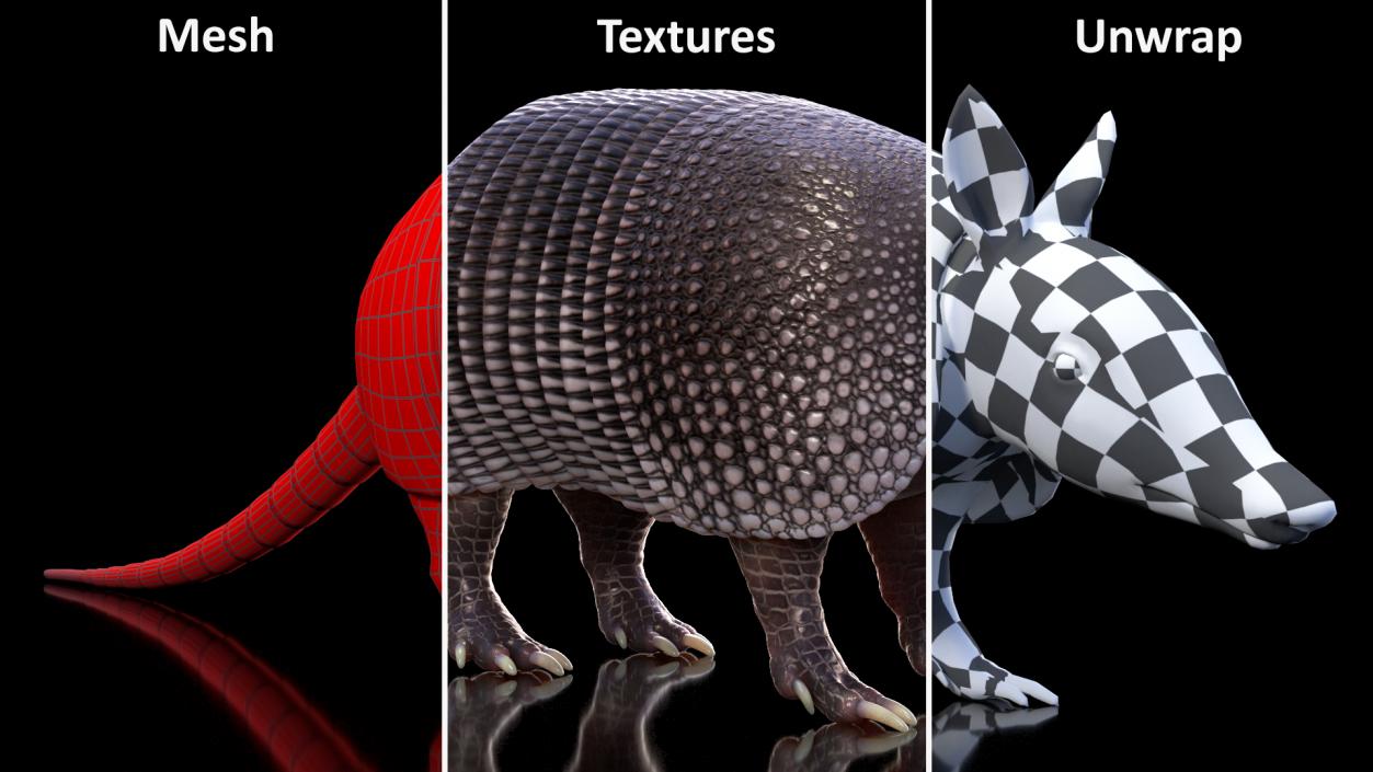 3D Armadillo Black Rigged for Maya 2 model