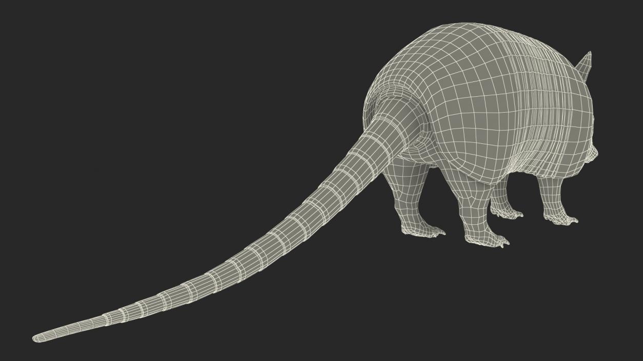 3D Armadillo Black Rigged for Maya 2 model