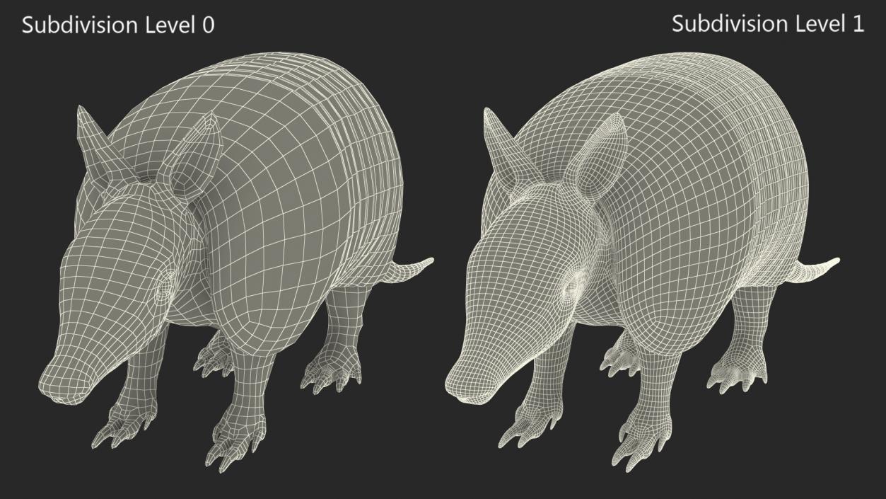 3D Armadillo Black Rigged for Maya 2 model