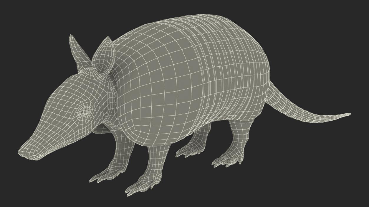 3D Armadillo Black Rigged for Maya 2 model