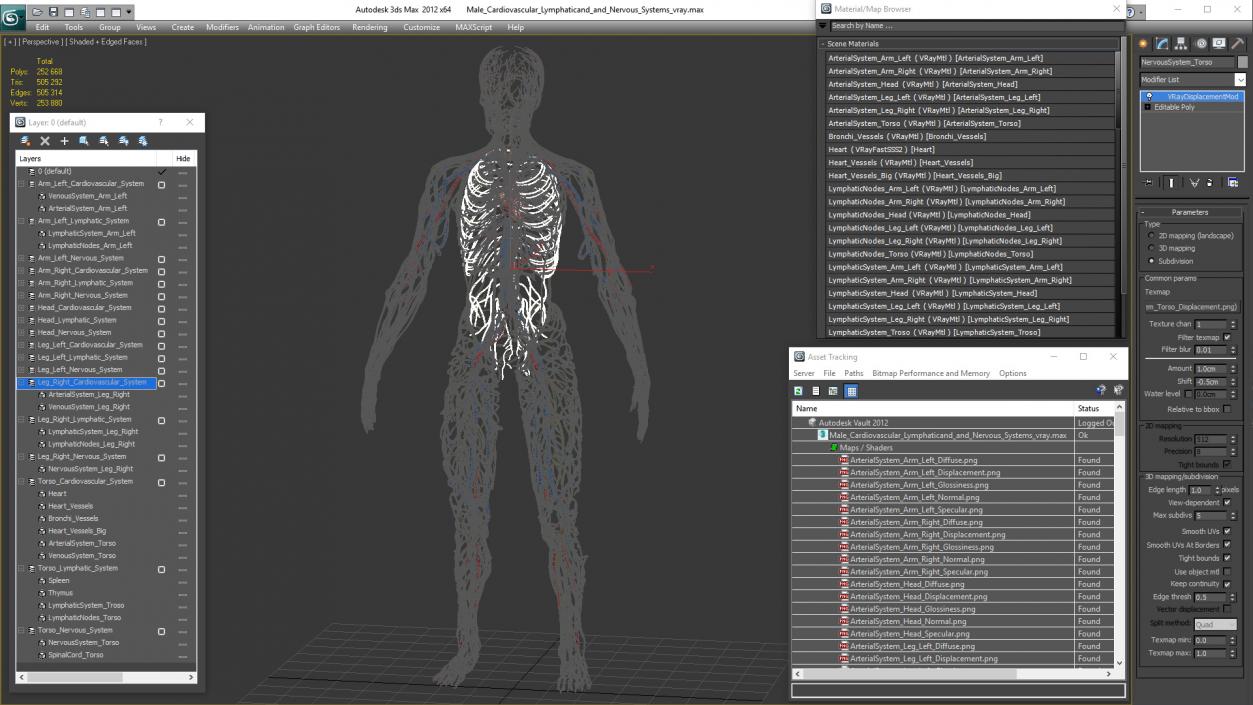 Male Cardiovascular Lymphaticand and Nervous Systems 3D