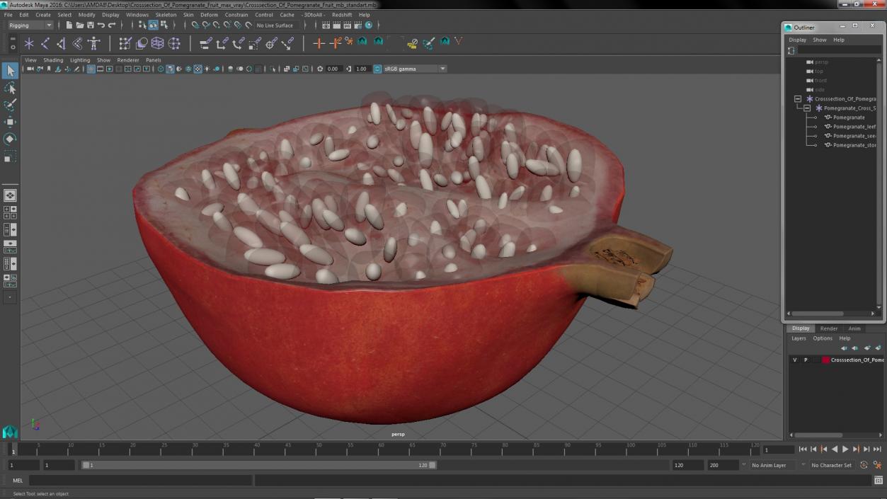 Cross Section Of Pomegranate Fruit 3D model