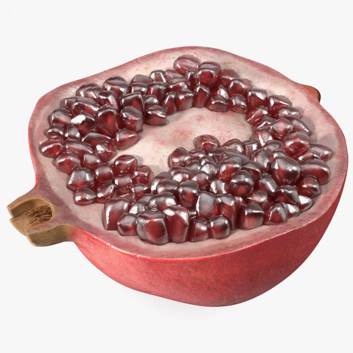 Cross Section Of Pomegranate Fruit 3D model