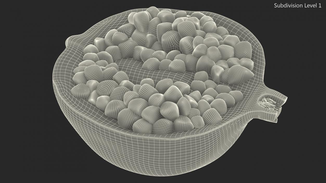 Cross Section Of Pomegranate Fruit 3D model