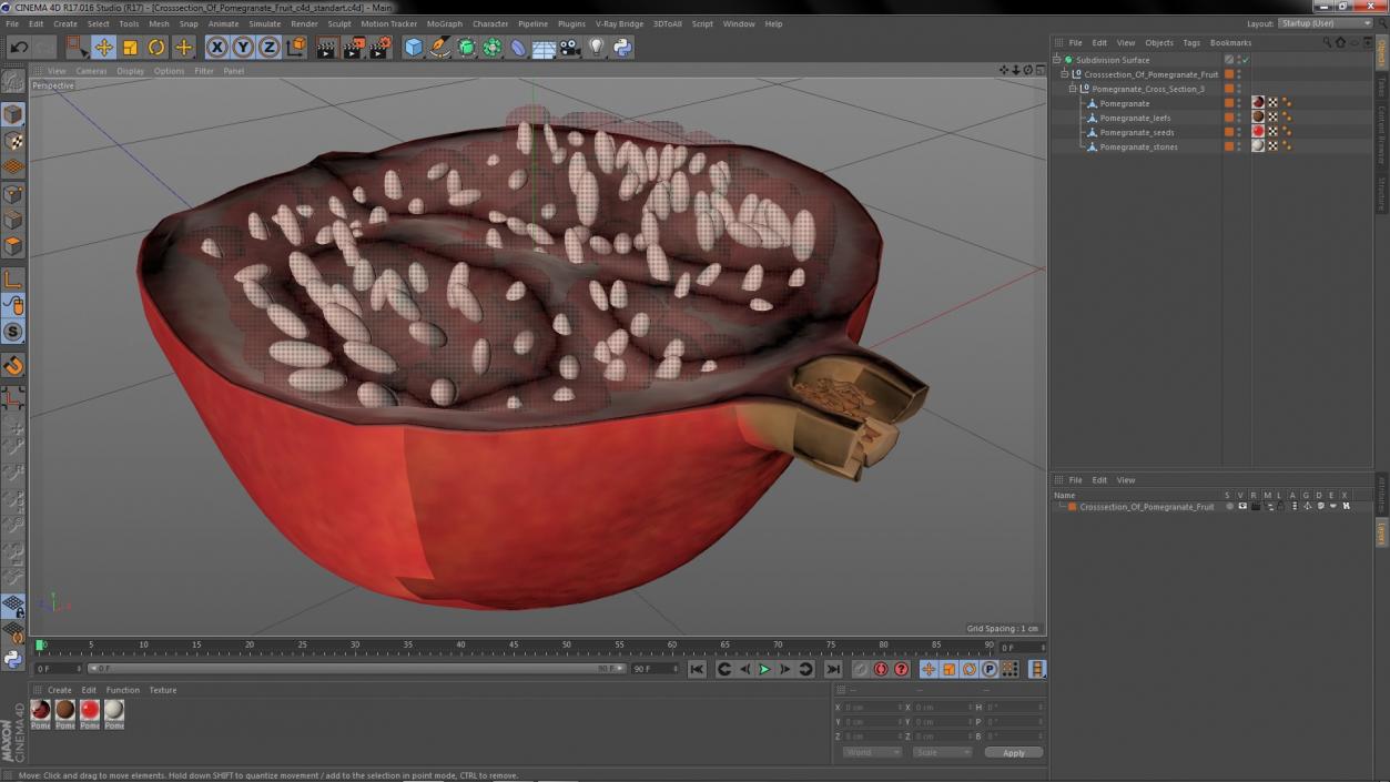 Cross Section Of Pomegranate Fruit 3D model