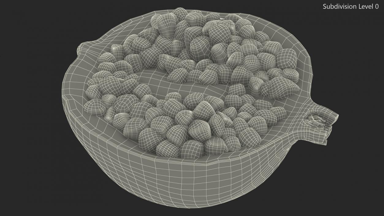 Cross Section Of Pomegranate Fruit 3D model