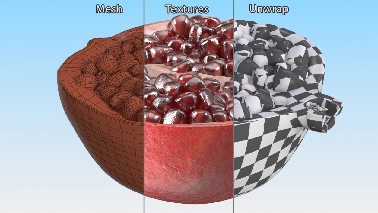 Cross Section Of Pomegranate Fruit 3D model