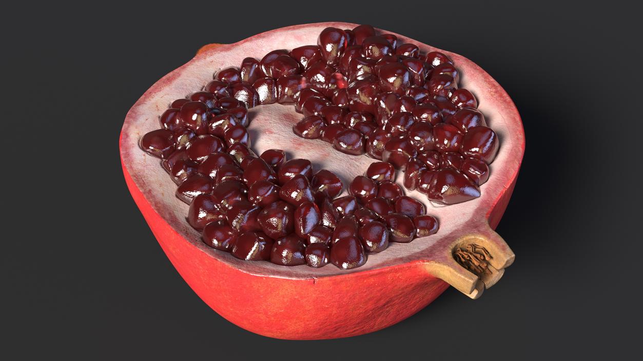 Cross Section Of Pomegranate Fruit 3D model