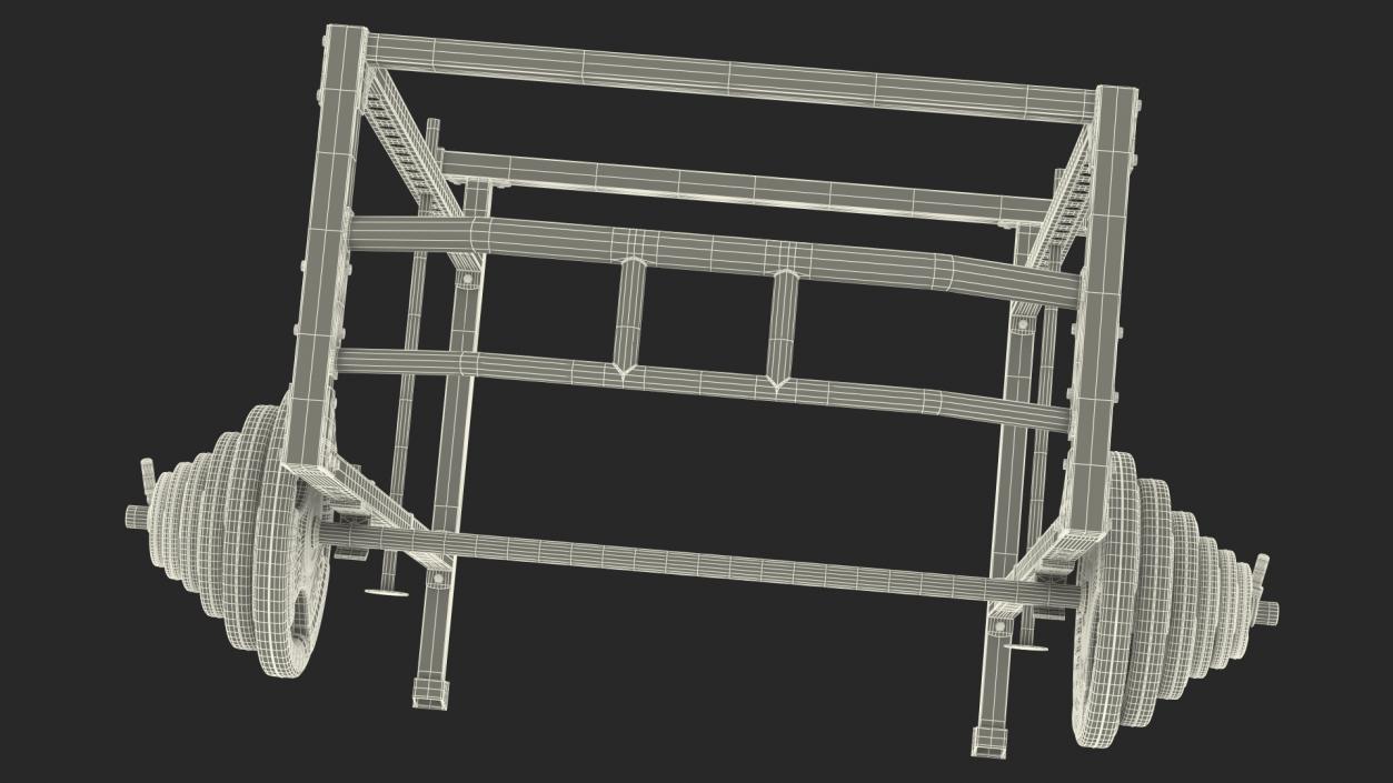 3D Power Cage Black and Barbell model