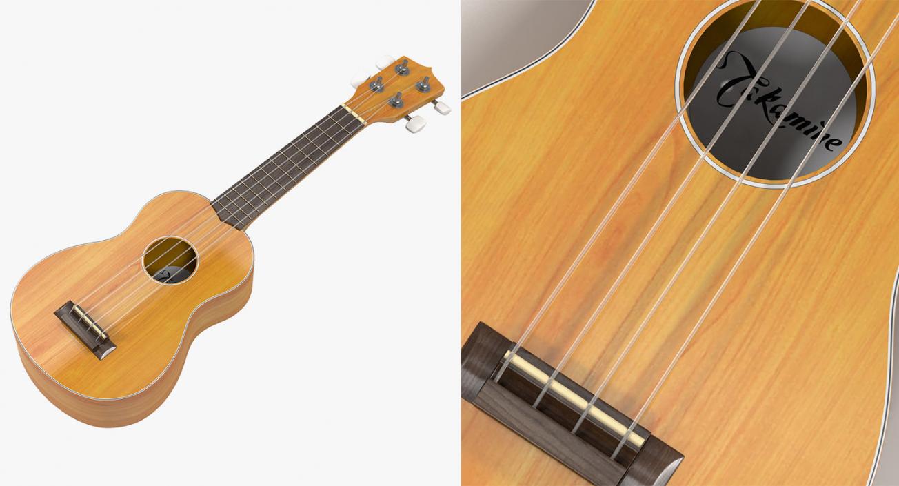 Musical Instruments Collection 6 3D