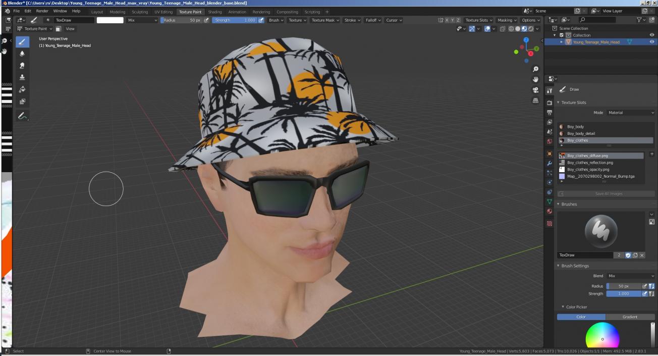 3D Young Teenage Male Head model