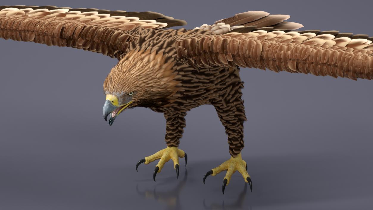 3D Imperial Eagle T Pose