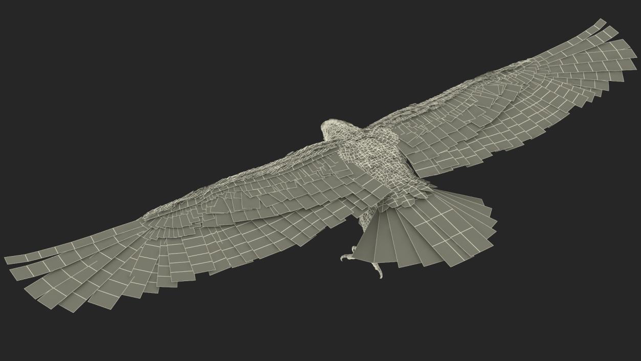 3D Imperial Eagle T Pose